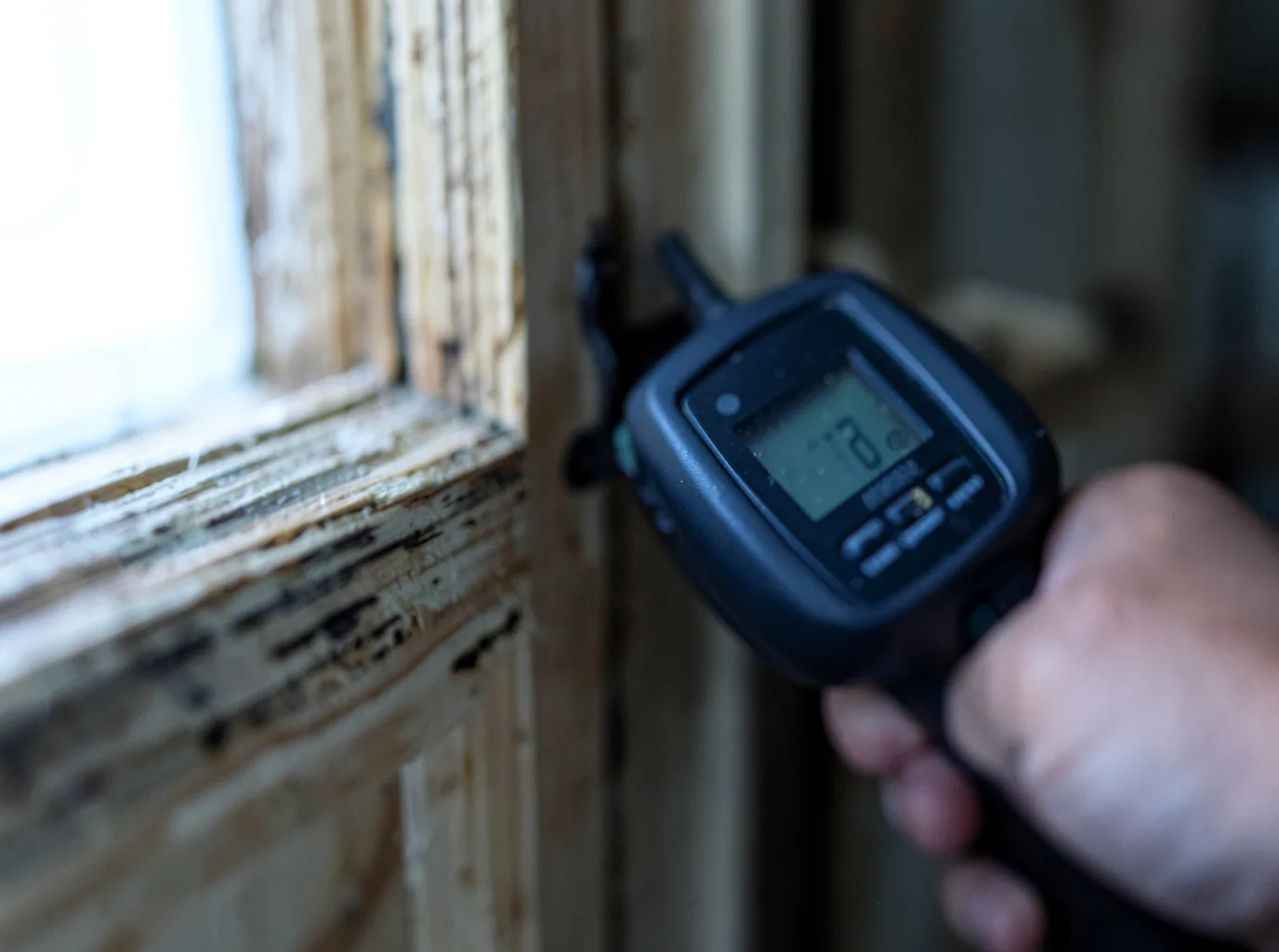 Water Damage Restoration Wheeler, OR FAQs